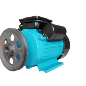 Motor electric monofazat, 2.2KW, 3000 RPM, fulie 150 mm + 55 mm, bobinaj cupru, fonta, 2 condensatori - COBI SMART®
